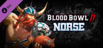 Blood Bowl 2 - Norse banner image