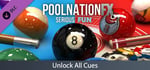 Pool Nation FX - Unlock Cues banner image