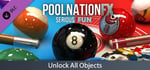 Pool Nation FX - Unlock Objects banner image