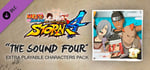 NARUTO SHIPPUDEN: Ultimate Ninja STORM 4 - The Sound Four Characters Pack banner image