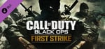 Call of Duty®: Black Ops First Strike Content Pack banner image