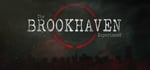 The Brookhaven Experiment banner image