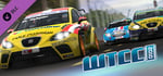 WTCC 2010 – Expansion Pack for RACE 07 banner image