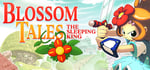 Blossom Tales: The Sleeping King steam charts