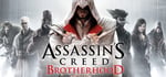 Assassin’s Creed® Brotherhood banner image