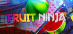 Fruit Ninja VR steam charts