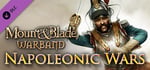 Mount & Blade: Warband - Napoleonic Wars banner image