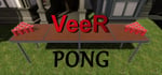 VeeR Pong steam charts