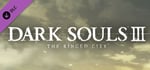 DARK SOULS™ III - The Ringed City™ banner image