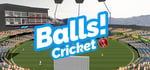 Balls! Virtual Reality Cricket steam charts
