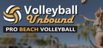 Volleyball Unbound - Pro Beach Volleyball steam charts