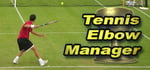 Tennis Elbow Manager steam charts