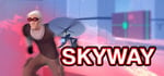 Skyway banner image