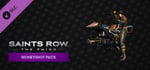 Saints Row: The Third - Money Shot Pack banner image