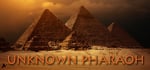 Unknown Pharaoh steam charts