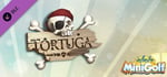 Infinite Minigolf - Tortuga banner image