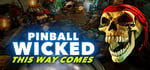 Pinball Wicked steam charts