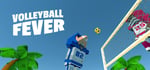 Volleyball Fever steam charts