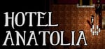 Hotel Anatolia steam charts