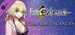 Fate/EXTELLA - Gravure Vacances banner image