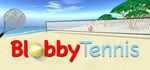 Blobby Tennis steam charts