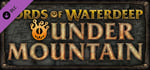 D&D Lords of Waterdeep: Undermountain expansion banner image
