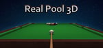 Real Pool 3D - Poolians steam charts
