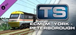 Train Simulator: East Coast Main Line Modern: York - Peterborough Route Add-On banner image