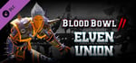 Blood Bowl 2 - Elven Union banner image