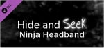Hide and Seek - Ninja Headband banner image
