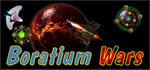 Boratium Wars steam charts