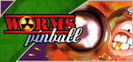 Worms Pinball steam charts