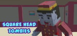 Square Head Zombies - FPS Game steam charts