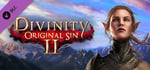 Divinity: Original Sin 2 - Divine Ascension banner image