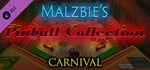 Malzbie's Pinball Collection - Carnival Table banner image