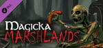 Magicka: Marshlands banner image