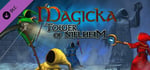 Magicka: Tower of Niflheim banner image