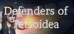 Defenders of Tetsoidea steam charts