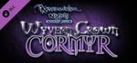 Neverwinter Nights: Wyvern Crown of Cormyr banner image