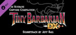 Tiny Barbarian DX OST banner image