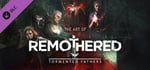 Remothered: Tormented Fathers - Artbook banner image