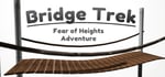 Bridge Trek steam charts