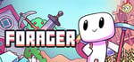 Forager steam charts