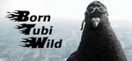 Born Tubi Wild steam charts