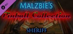 Malzbie's Pinball Collection - Sheriff Table banner image