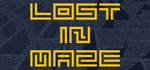 Lost In Maze steam charts