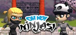 Oh No! Ninjas! steam charts