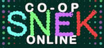 Co-op SNEK Online steam charts