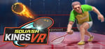 Squash Kings VR steam charts