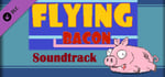 Flying Bacon - Soundtrack banner image